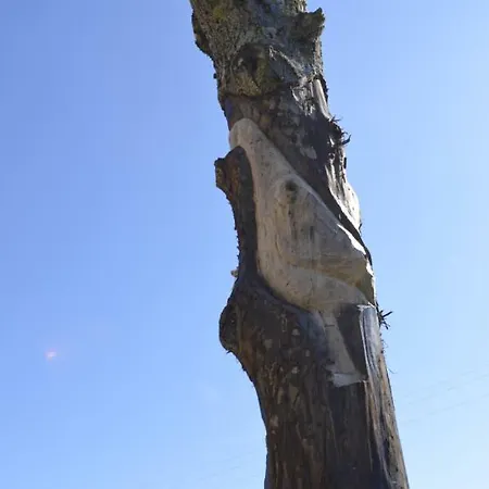 La Fattoria Del Farneto Nyaraló Vicchio