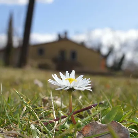 La Fattoria Del Farneto Holiday home *