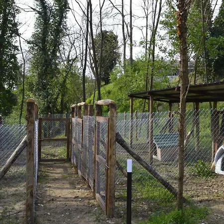 Holiday home La Fattoria Del Farneto Vicchio